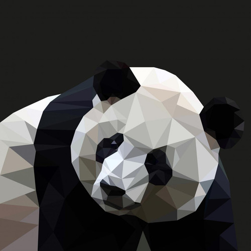DECLIKTABLEAU - Tableau Pattern Panda 50x50 DECLIKTABLEAU  - Tableaux, peintures