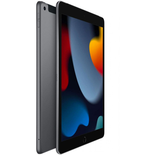 Apple - iPad (2021) 256 Go Wi-Fi Gris Sidéral Apple - Black Friday Tablette tactile