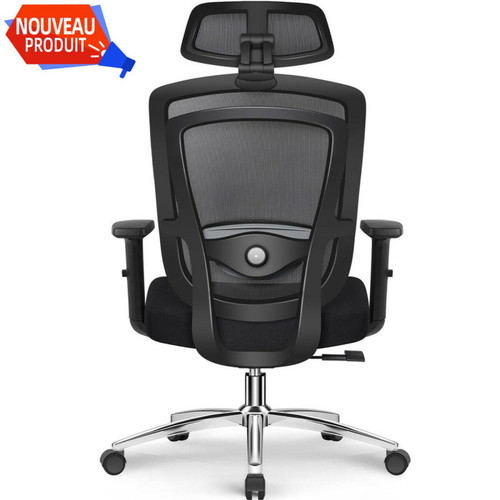 Lexzurn - Chaise de Bureau Lexzurn avec Coussin Lombaire 3D Réglable, Noir Lexzurn - Bonnes affaires Mobilier de bureau