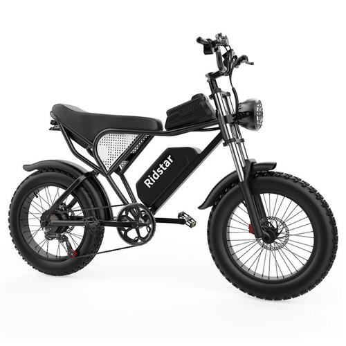 Ridstar - Vélo électrique Ridstar Q20, moteur sans balais 1000W, gros pneus 20 x 4,0 pouces, batterie amovible 48V 20Ah, vitesse maximale de 48km/h, Autonomie 120 km Ridstar  - Vélo électrique