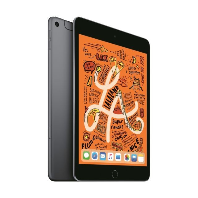 Apple - iPad mini 2019 - 64 Go - Wifi - MUQW2NF/A - Gris sidéral Apple  - iPad